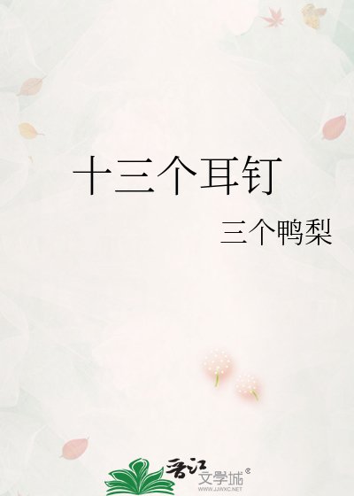 十三个耳钉