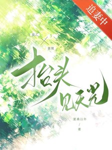 抬头见天光