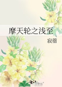 摩天輪之淺至