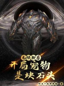 无限御兽:开局宠物是块石头