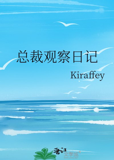 总裁观察日记