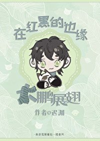 (綜漫同人)在烘黑的邊緣大鵬展翅