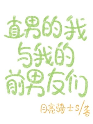 《直男的我与我的前男友们》