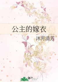 公主的嫁衣