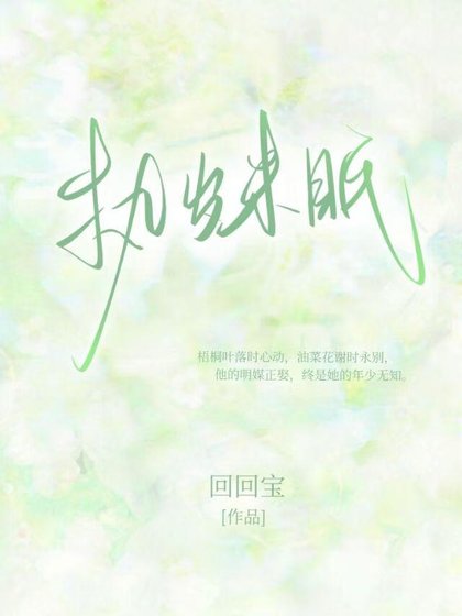执岁未眠
