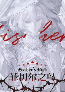菲切尔之粹