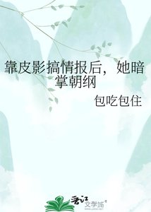 靠皮影搞情报后,她暗掌朝纲