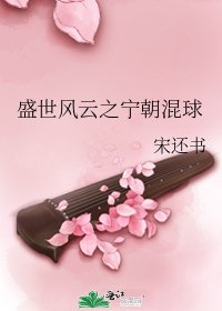 盛世风云之宁朝混球