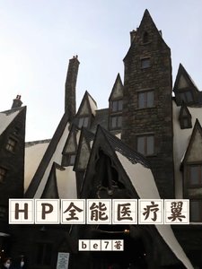 (HP同人)HP:最強醫療翼/HP全能醫療翼