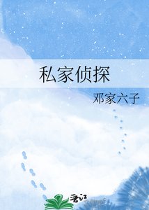 私家侦探