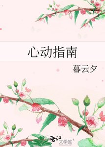 心动指南