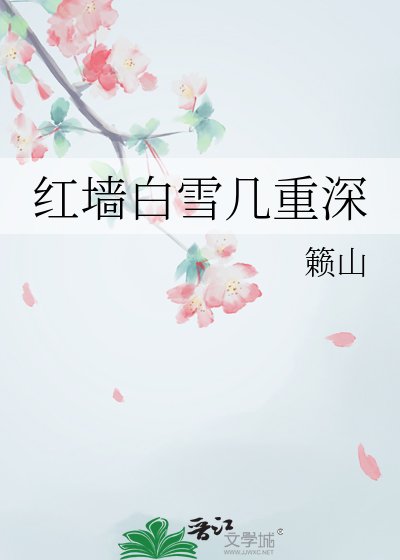 红墙白雪几重深