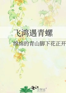 飞鸿遇青螺