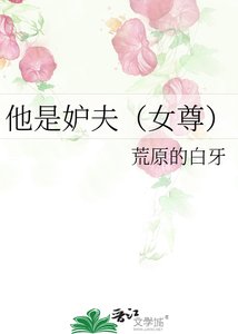 他是妒夫(女尊)