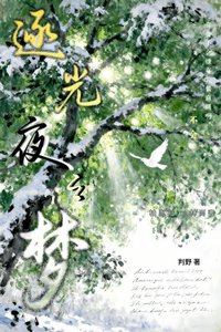 逐光夜之夢