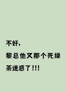 不好黎總他又被那個死綠茶迷惑了