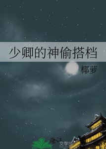 少卿的神偷搭檔