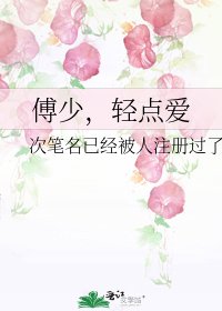 傅少,轻点爱