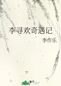 李寻欢奇遇记