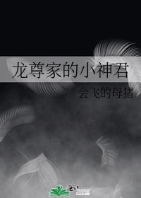 龙尊家的小神君