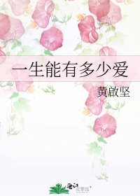 一生能有多少爱