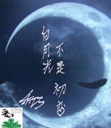白月光不是初戀