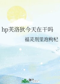 hp芙洛狄今天在幹嗎