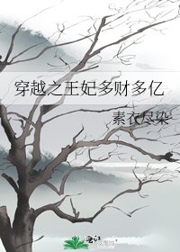穿越之王妃多财多亿