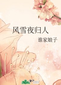 風雪夜歸人