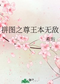 拼图之尊王本无敌