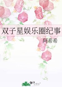 双子星娱乐圈纪事