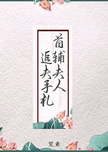 首辅夫人追夫手札