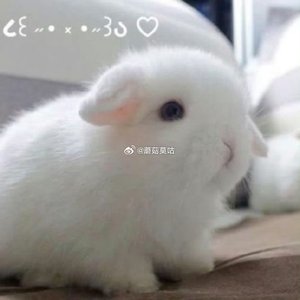 骗子下乡记