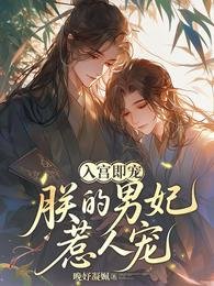 入宫即宠:朕的男妃惹人宠