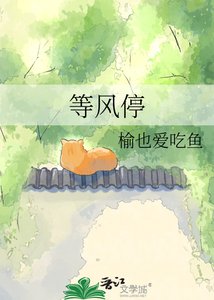 等风停