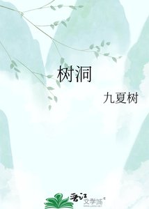 树洞