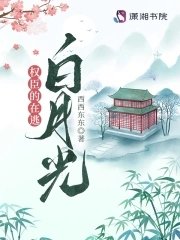 權臣的在逃摆月光