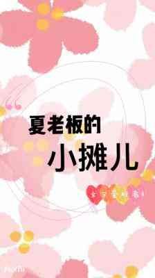 夏老板的小摊儿