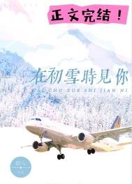 在初雪時見你