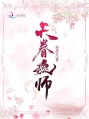 天眷婚師
