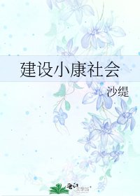 建设小康社会