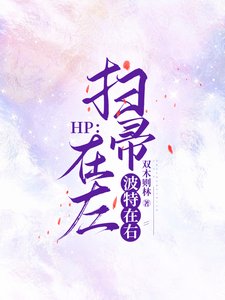 (HP同人)HP:扫帚在左,波特在右