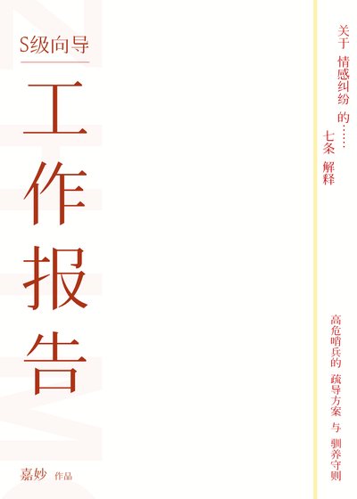 S级向导工作报告