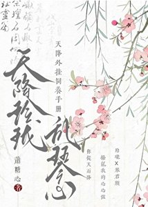 天降外挂饲养手册