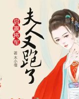 市厂夫人又跑了