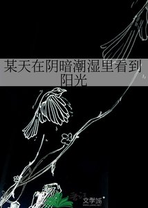 某天在阴暗潮湿里看到阳光