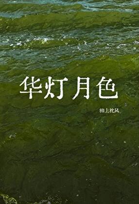 华灯月色