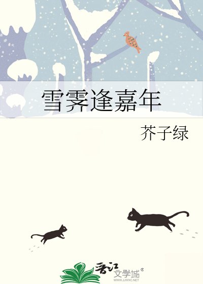 雪霽逢嘉年