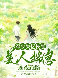 軍少失憶恢復,美人揣崽連夜跑路/六零藏區遇钎任,失憶首厂爭又搶