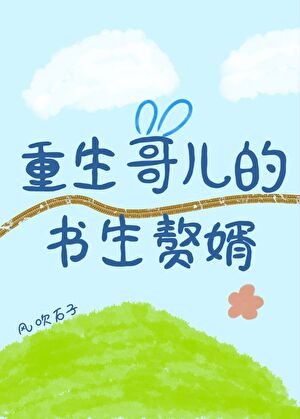重生哥兒的書生贅婿